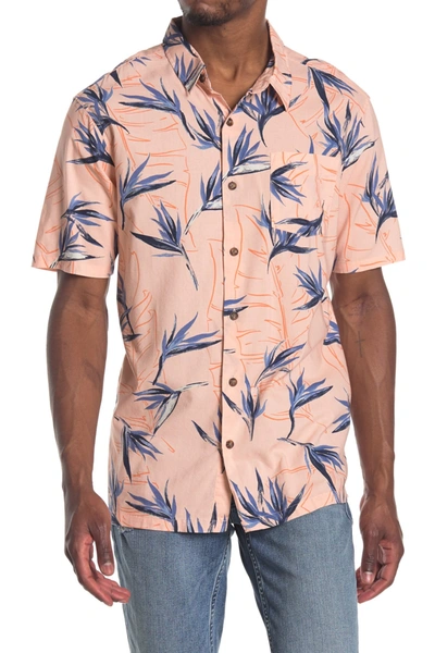 Shop Jack O'neill Radcliffe Birds Of Paradise Printed Regular Fit Shirt In Horizon