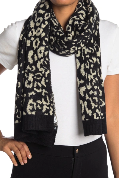 Shop Echo Leopard Knit Scarf In Black