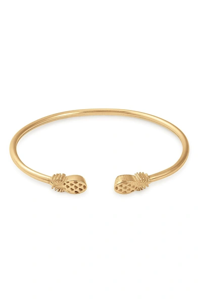 Shop Alex And Ani 14k Gold Plated Sterling Silver Pineapple Cuff Bracelet