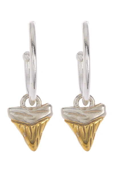 Shop Alex And Ani Two-tone Shark Tooth Earrings In Two Tone