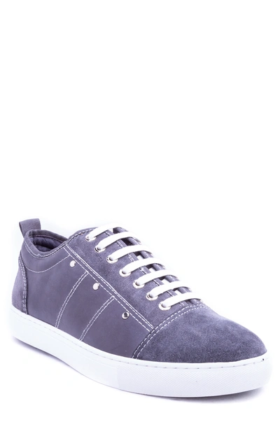 Shop Zanzara Severn Studded Low Top Sneaker In Grey