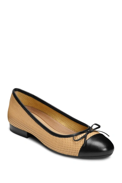 Shop Aerosoles Outrun Perforated Ballet Flat In Bone Combo