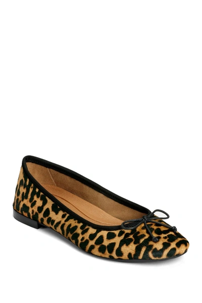 Shop Aerosoles Homerun Ballet Flat In Leopard Ta