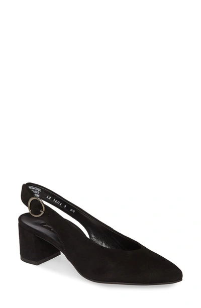 Shop Paul Green Brittany Pointed Toe Slingback Pump In Black Suede