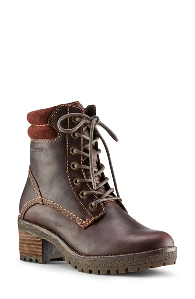 Shop Cougar Delson Waterproof Ankle Bootie In Cask Leather