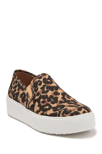 Shop Steve Madden Rogue Platform Slip-on Sneaker In Leopard