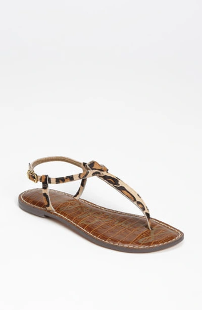 Shop Sam Edelman Gigi T-strap Sandal In New Nude Leopard