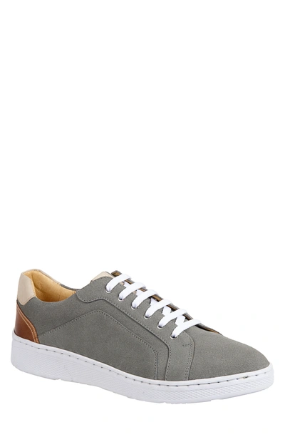 Shop Sandro Moscoloni Trendy Lace-up Sneaker In Grey
