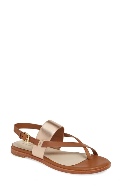 Shop Cole Haan Anica Sandal In Acrn/rse G