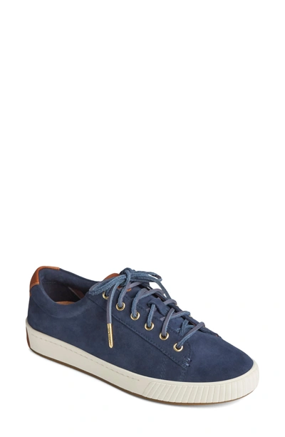 Shop Sperry Anchor Sneaker In Navy Plush Suede