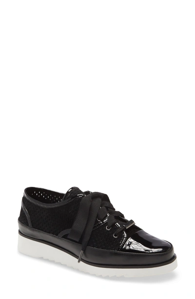 Shop Donald Pliner Flipp Perforated Leather Sneaker In Black