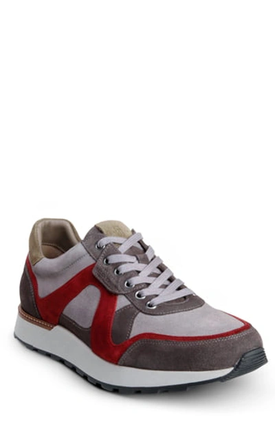 Shop Allen Edmonds Alla-trainer Sneaker In Gray/burgundy