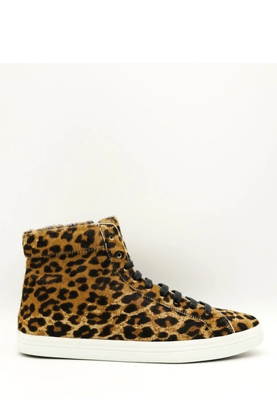 Shop Freda Salvador Sal High Top Sneaker In Cheetah Haircalf