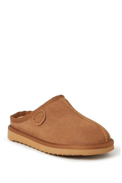 Shop Dearfoams Dempsey Genuine Shearling Lined Clog In Chestnut