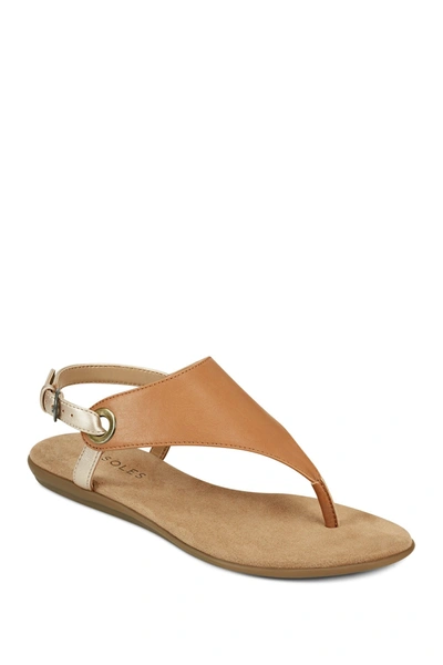 Shop Aerosoles In Conchlusion Casual Sandal In Tancombo