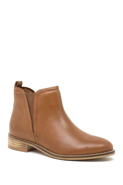 Shop Crevo Evelyne Leather Chelsea Boot In Chestnut