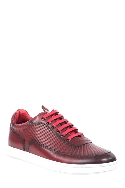 Shop Zanzara Harmony Sneaker In Red