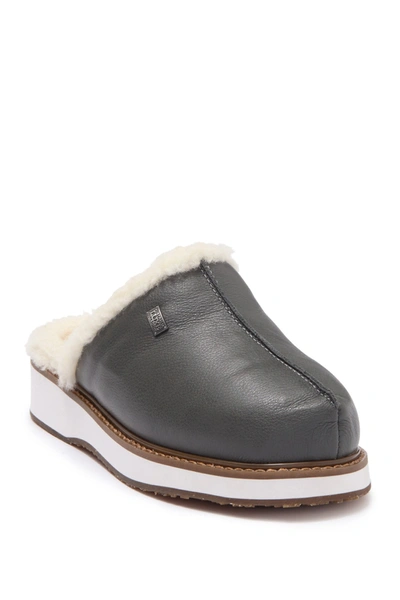 Shop Australia Luxe Collective Genuine Shearling Lined Leather Mule In Smoke