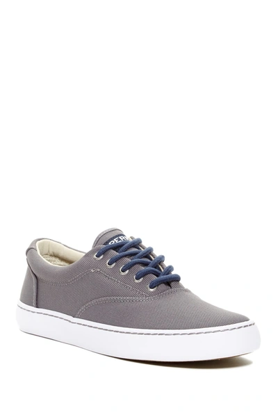 Shop Sperry Cutter Cvo Ballistic Sneaker In Grey