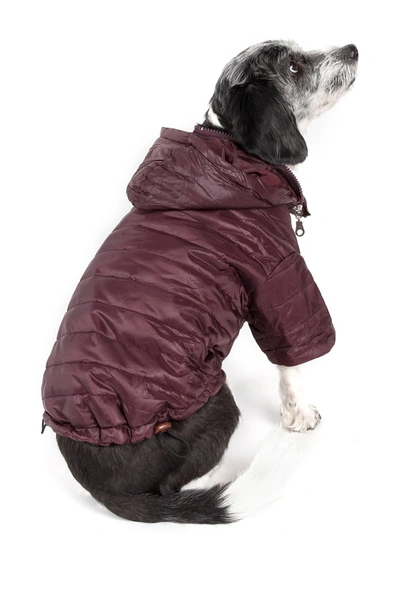 Shop Petkit Large Brown Sporty Avalanche Dog Coat In Dark Cocoa Brown