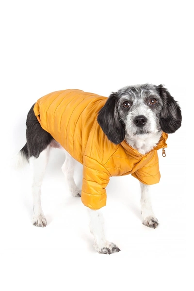 Shop Petkit Lightweight Adjustable Sporty Avalanche Pet Coat In Mustard Yellow