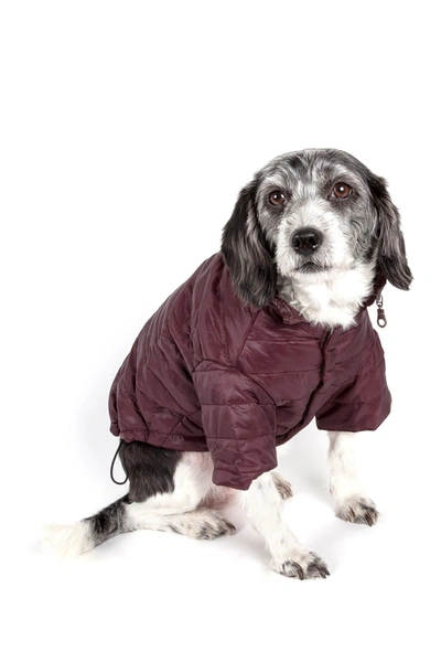 Shop Petkit Lightweight Adjustable Sporty Avalanche Pet Coat In Dark Cocoa Brown