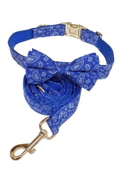Shop Dogs Of Glamour Calvin Blue Bandana Collar & Leash Set In Blue/white