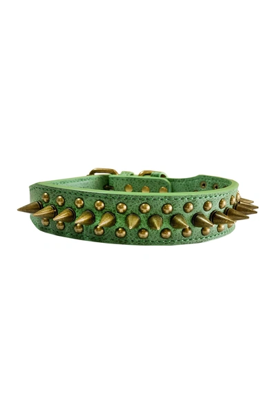 Shop Dogs Of Glamour Greg Spiked Collar In Green