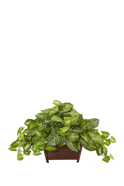 Shop Nearly Natural Green Nephthytis In Wood Planter