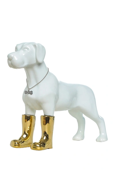 Shop Interior Illusions Dog With Gold Boots Bank