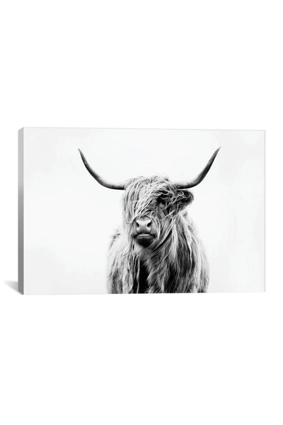 Shop Icanvas Portrait Of A Highland Cow By Dorit Fuhg Wall Art In Multi 1