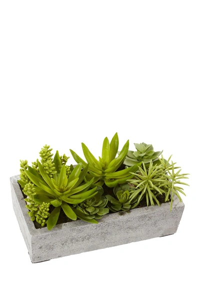 Shop Nearly Natural Succulent Garden With Concrete Planter In Green