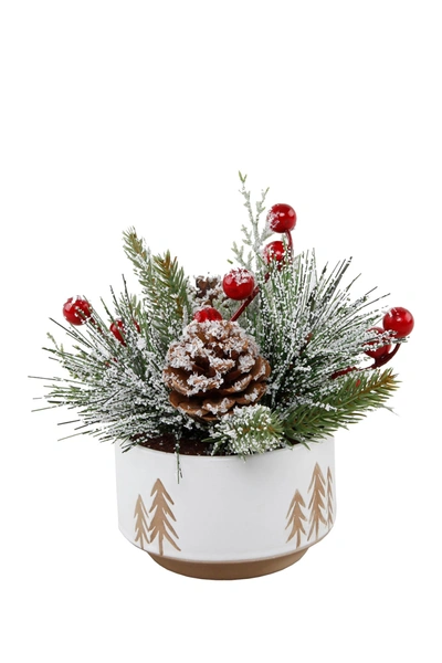 Flora Bunda Xmas Mix In Small 4.25" Ceramic Reverse Tree Pot In White