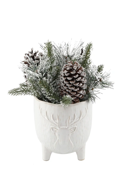 Flora Bunda Xmas Mix In 6" Stag Head Ceramic Footed Pot In White