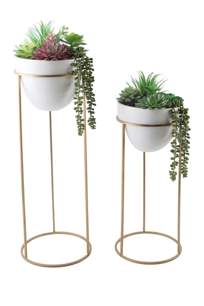 Shop Flora Bunda 36" & 29" Succulent Mix In Ceramic Pot On Metal Stand In White/gold