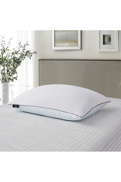 Shop Blue Ridge Home Fashions 2pk Serta 233 Thread Count Summer & Winter White Goose Feather Bed Pillow