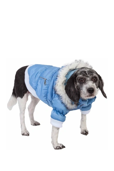 Shop Petkit Metallic Blue Fashion Pet Parka Coat