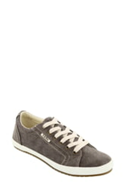 Shop Taos 'star' Sneaker In Choc Washed Canvas