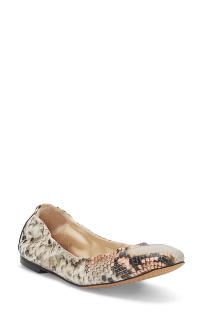 Shop Vince Camuto Brindin Leather Flat In Creamsicle Leather