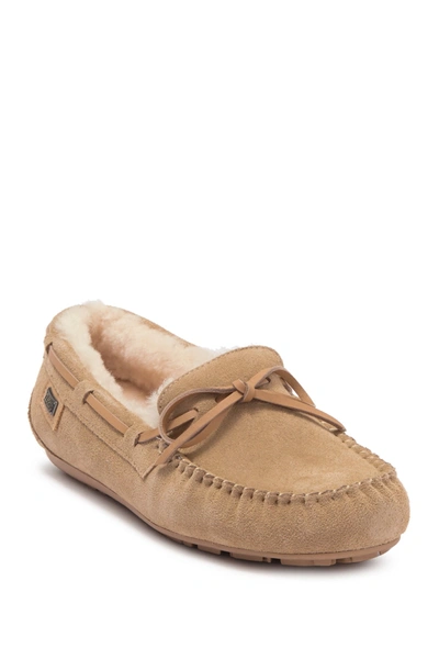 Shop Australia Luxe Collective Prost Genuine Shearling Moccasin In Sand