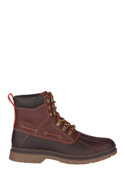 Shop Sperry Watertown Waterproof Leather Lace-up Boot In Brown/tan