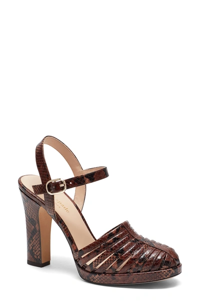 Shop Kate Spade Campania Snakeskin Embossed Sandal In Redwood Leather