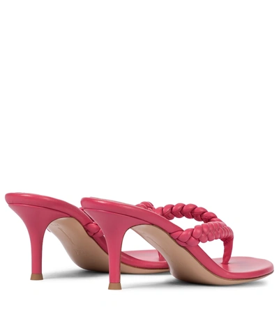 Shop Gianvito Rossi Tropea 70 Leather Thong Sandals In Pink