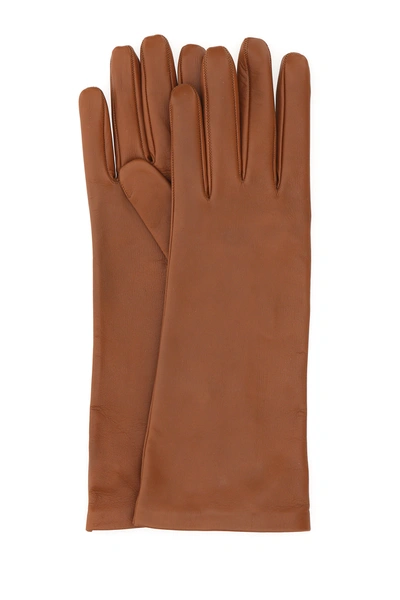 Shop Saint Laurent Caramel Nappa Leather Gloves  Nd  Donna 7+
