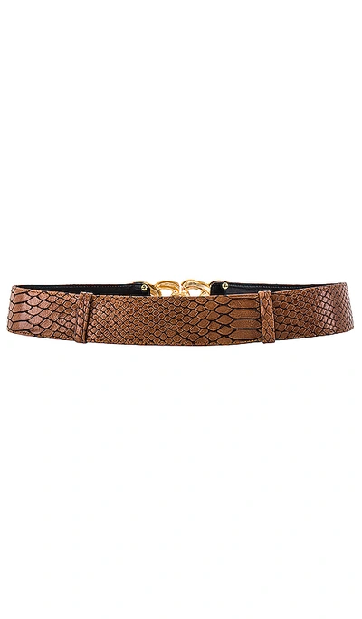 Shop Raina Jacklyn Belt In Brown