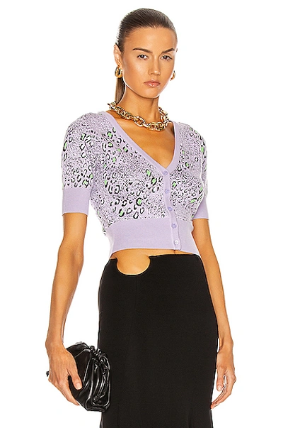 Shop Versace Short Sleeve Cardigan In Lilla & Leopard