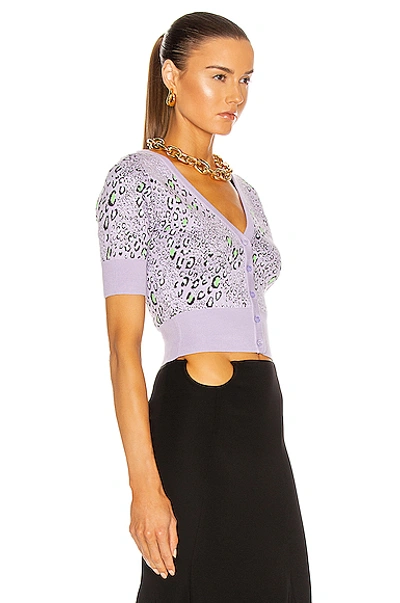 Shop Versace Short Sleeve Cardigan In Lilla & Leopard