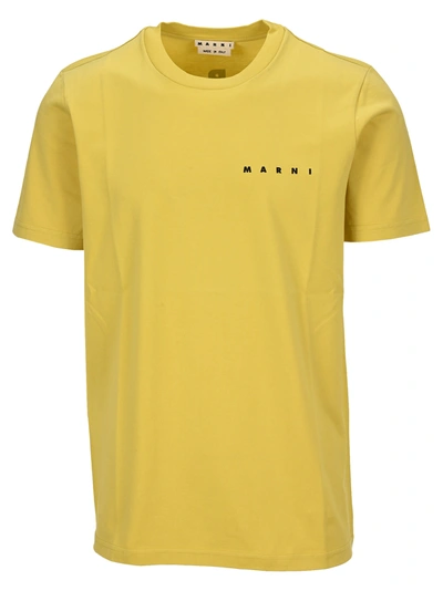 Shop Marni Daisy T-shirt In Yellow
