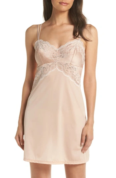 Shop Wacoal Lace Affair Chemise In Rose/angel