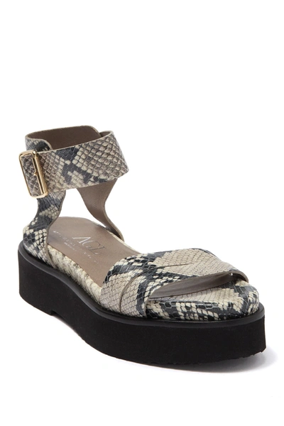 Shop Agl Attilio Giusti Leombruni Snake Embossed Leather Platform Sandal In Grey Snakeprint